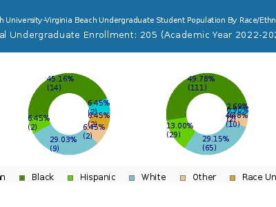 South University-Virginia Beach 2023 Undergraduate Enrollment by Gender and Race chart