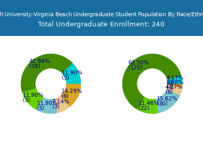 South University-Virginia Beach 2025 Undergraduate Enrollment by Gender and Race chart