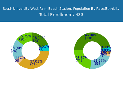 South University-West Palm Beach 2025 Student Population by Gender and Race chart