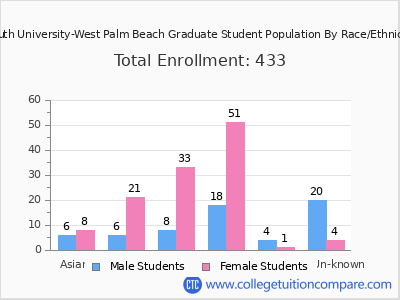 South University-West Palm Beach 2025 Graduate Enrollment by Gender and Race chart