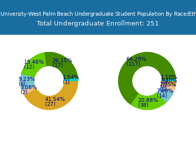 South University-West Palm Beach 2025 Undergraduate Enrollment by Gender and Race chart
