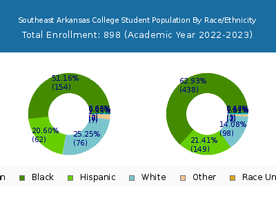 Southeast Arkansas College 2023 Student Population by Gender and Race chart