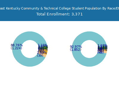 Southeast Kentucky Community & Technical College 2025 Student Population by Gender and Race chart