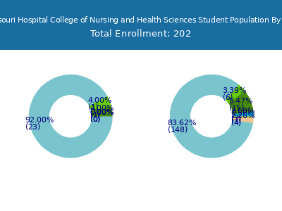 Southeast Missouri Hospital College of Nursing and Health Sciences 2025 Student Population by Gender and Race chart