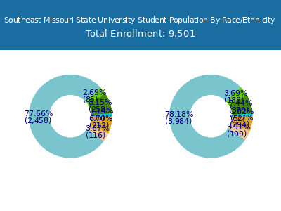 Southeast Missouri State University 2025 Student Population by Gender and Race chart