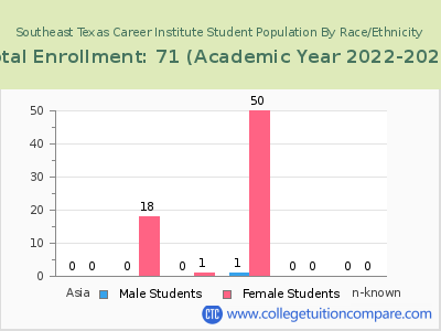 Southeast Texas Career Institute 2023 Student Population by Gender and Race chart