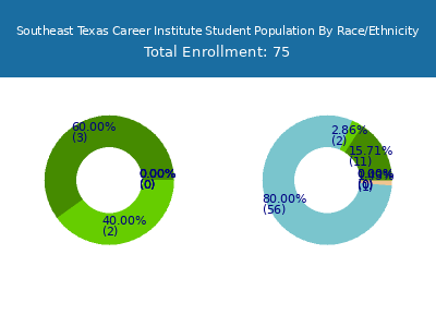 Southeast Texas Career Institute 2025 Student Population by Gender and Race chart