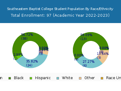 Southeastern Baptist College 2023 Student Population by Gender and Race chart