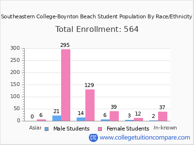 Southeastern College-Boynton Beach 2025 Student Population by Gender and Race chart