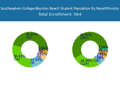 Southeastern College-Boynton Beach 2025 Student Population by Gender and Race chart