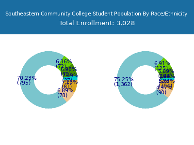 Southeastern Community College 2025 Student Population by Gender and Race chart