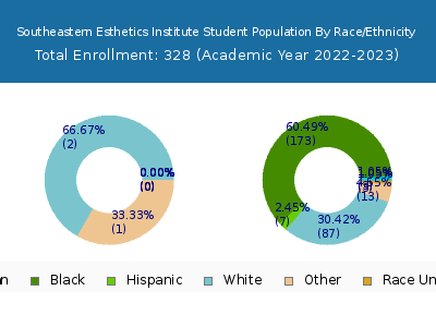 Southeastern Esthetics Institute 2023 Student Population by Gender and Race chart
