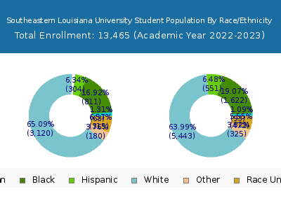 Southeastern Louisiana University 2023 Student Population by Gender and Race chart