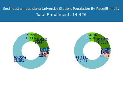 Southeastern Louisiana University 2025 Student Population by Gender and Race chart