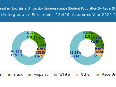 Southeastern Louisiana University 2023 Undergraduate Enrollment by Gender and Race chart
