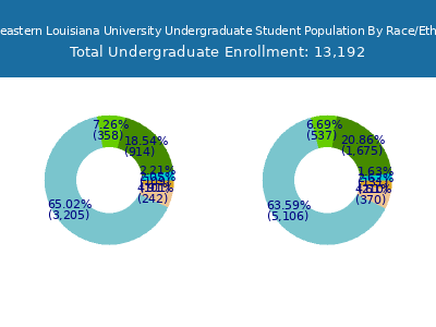 Southeastern Louisiana University 2025 Undergraduate Enrollment by Gender and Race chart