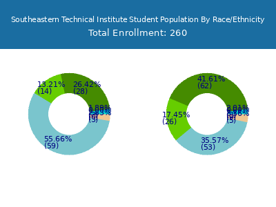 Southeastern Technical Institute 2025 Student Population by Gender and Race chart