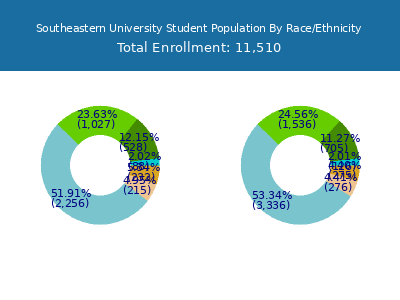 Southeastern University 2025 Student Population by Gender and Race chart