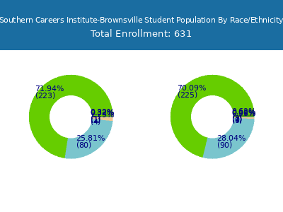 Southern Careers Institute-Brownsville 2025 Student Population by Gender and Race chart