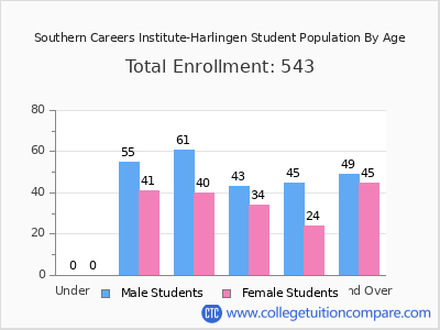 Southern Careers Institute-Harlingen 2024 Student Population by Age chart