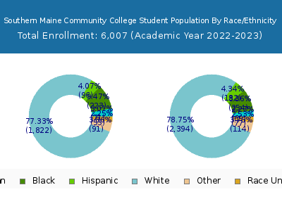Southern Maine Community College 2023 Student Population by Gender and Race chart