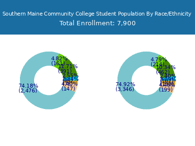 Southern Maine Community College 2025 Student Population by Gender and Race chart