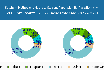 Southern Methodist University 2023 Student Population by Gender and Race chart