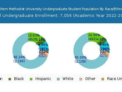 Southern Methodist University 2023 Undergraduate Enrollment by Gender and Race chart