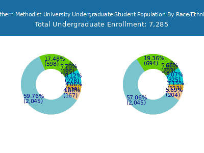 Southern Methodist University 2025 Undergraduate Enrollment by Gender and Race chart