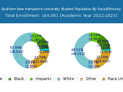Southern New Hampshire University 2023 Student Population by Gender and Race chart