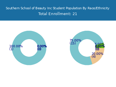 Southern School of Beauty Inc 2025 Student Population by Gender and Race chart