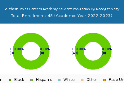 Southern Texas Careers Academy 2023 Student Population by Gender and Race chart