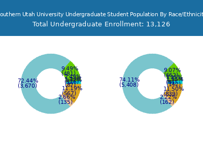 Southern Utah University 2025 Undergraduate Enrollment by Gender and Race chart