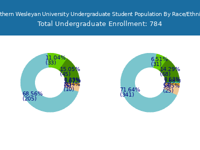 Southern Wesleyan University 2025 Undergraduate Enrollment by Gender and Race chart