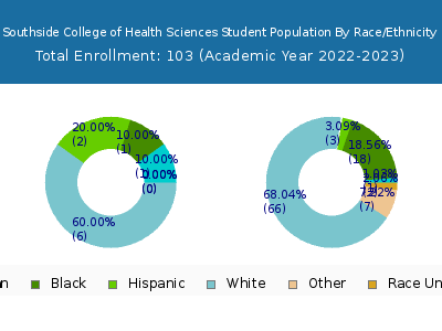 Southside College of Health Sciences 2023 Student Population by Gender and Race chart