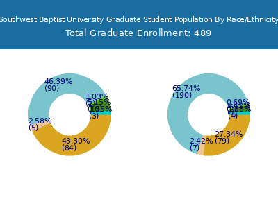 Southwest Baptist University 2025 Graduate Enrollment by Gender and Race chart