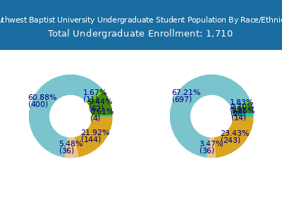 Southwest Baptist University 2025 Undergraduate Enrollment by Gender and Race chart