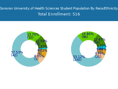 Sonoran University of Health Sciences 2025 Student Population by Gender and Race chart