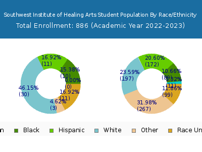Southwest Institute of Healing Arts 2023 Student Population by Gender and Race chart