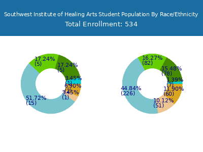 Southwest Institute of Healing Arts 2025 Student Population by Gender and Race chart
