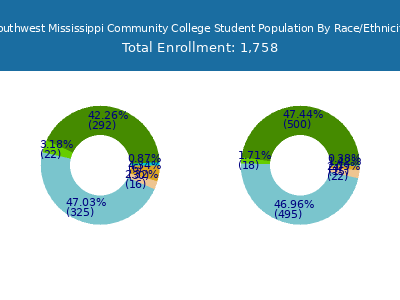 Southwest Mississippi Community College 2025 Student Population by Gender and Race chart