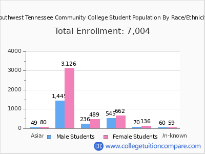 Southwest Tennessee Community College 2025 Student Population by Gender and Race chart