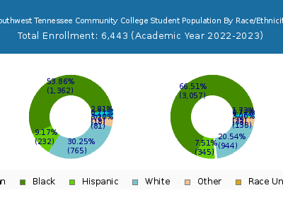 Southwest Tennessee Community College 2023 Student Population by Gender and Race chart