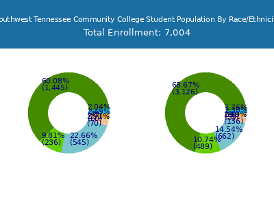 Southwest Tennessee Community College 2025 Student Population by Gender and Race chart