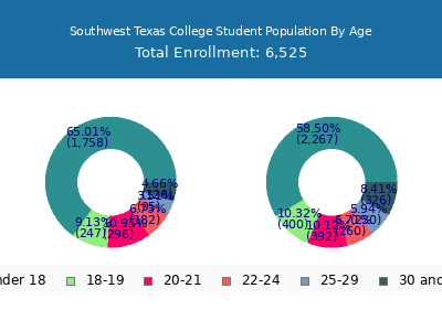 Southwest Texas College 2024 Student Population Age Diversity Pie chart