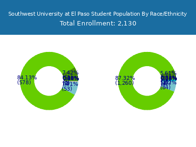 Southwest University at El Paso 2025 Student Population by Gender and Race chart