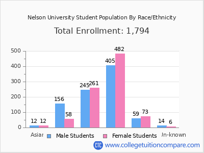 Nelson University 2025 Student Population by Gender and Race chart