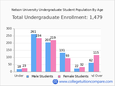 Nelson University 2024 Undergraduate Enrollment by Age chart