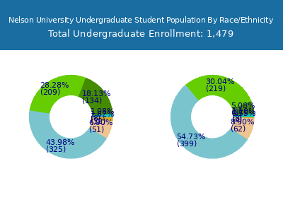 Nelson University 2025 Undergraduate Enrollment by Gender and Race chart