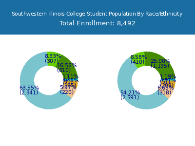 Southwestern Illinois College 2025 Student Population by Gender and Race chart
